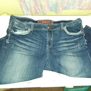 Plus size name brand pants hydraulic size 22